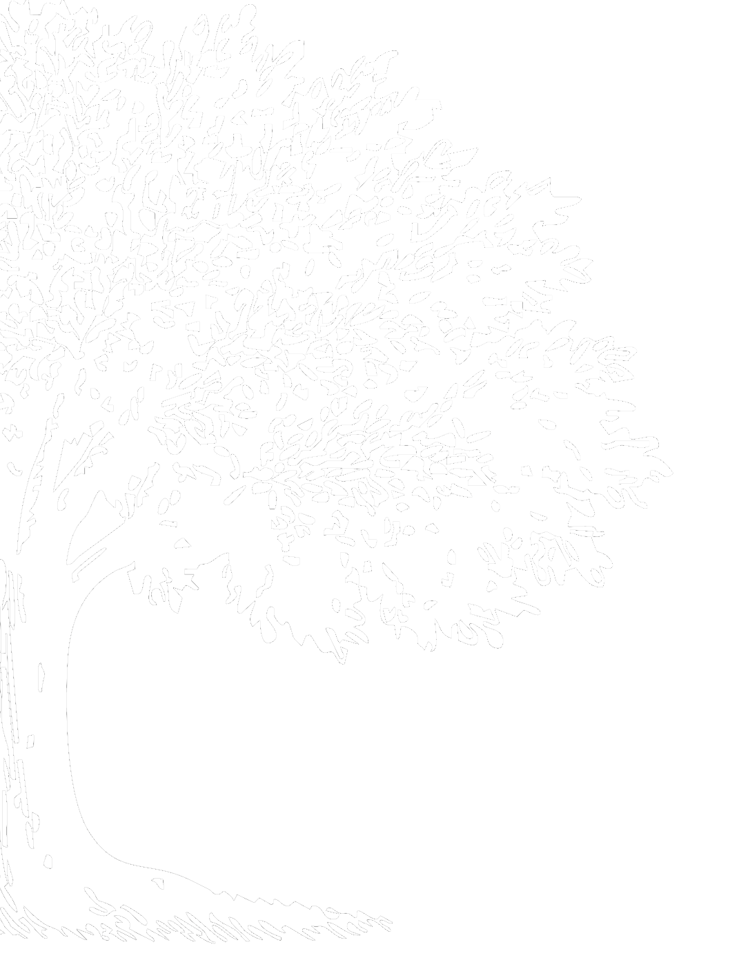 Palmers Vastgoed Logo boom